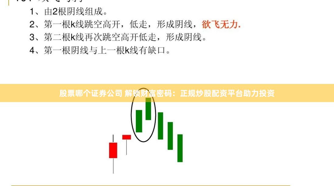 股票哪个证券公司 解锁财富密码：正规炒股配资平台助力投资