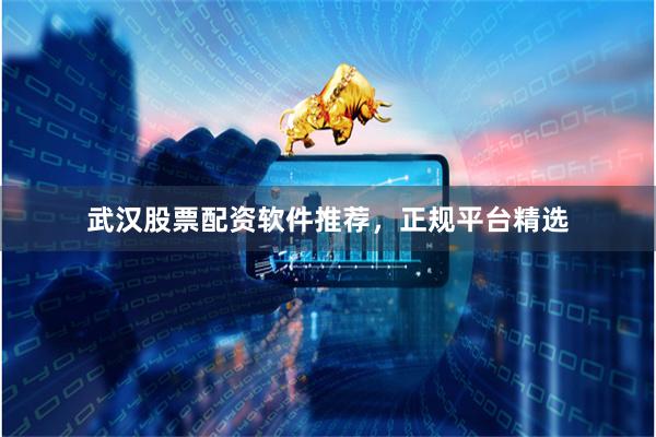 武汉股票配资软件推荐，正规平台精选