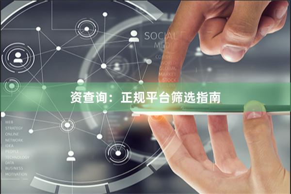 资查询：正规平台筛选指南